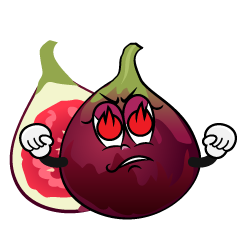 Enthusiasm Fig