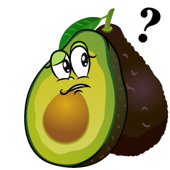 Thinking Fresh Avocado