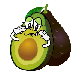 Sad Fresh Avocado