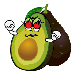 Enthusiasm Fresh Avocado