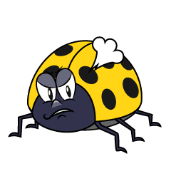 Angry Yellow Ladybug