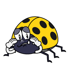 Sad Yellow Ladybug