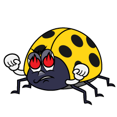 Enthusiasm Yellow Ladybug