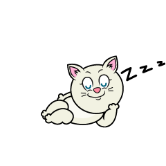 Sleeping White Cat