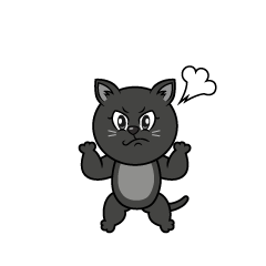 Angry Black Cat