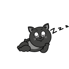Sleeping Black Cat