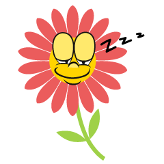 Sleeping Flower