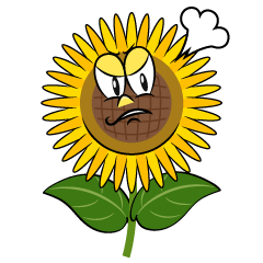 Angry Sunflower