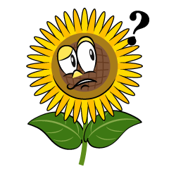 Thinking Sunflower