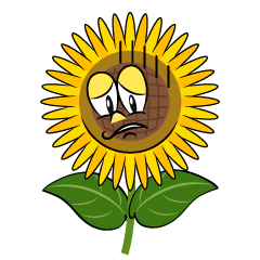 Depressed Sunflower