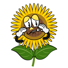 Sobbing Sunflower