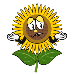 Confident Sunflower