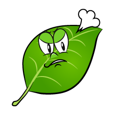 Angry Leaf