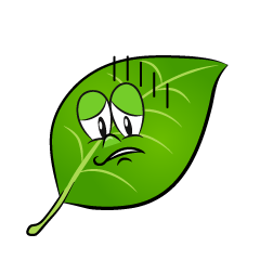 Depressed Leaf