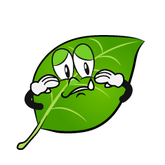 Sobbing Leaf