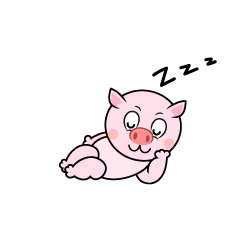 Sleeping Pig