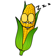 Sleeping Corn