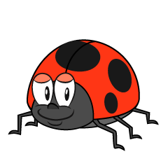 Ladybug