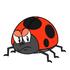 Angry Ladybug