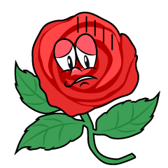 Depressed Rose