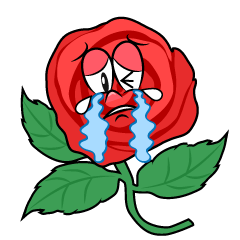 Crying Rose