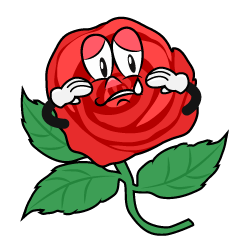 Sobbing Rose