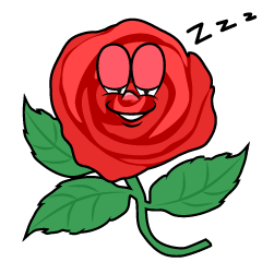 Sleeping Rose