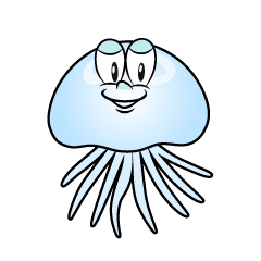 Jellyfish