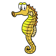 Seahorse