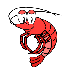 Shrimp