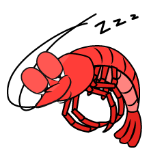 Sleeping Shrimp