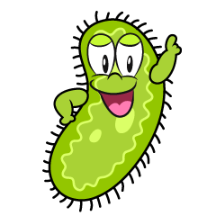 Posing Bacteria