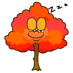 Sleeping Fall Tree