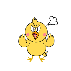 Angry Chick
