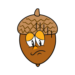 Depressed Acorn