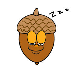 Sleeping Acorn