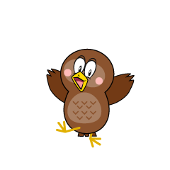 Surprised Owl