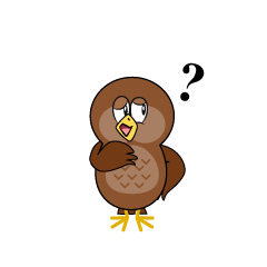 Thinking Owl