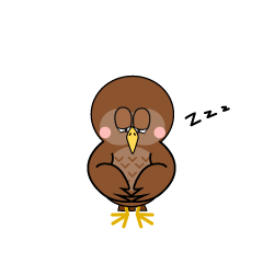 Sleeping Owl