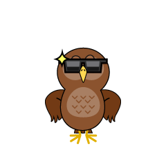 Cool Owl