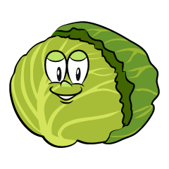 Cabbage