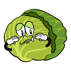 Sad Cabbage