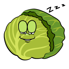 Sleeping Cabbage