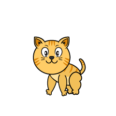 Tabby Cat