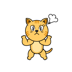 Angry Tabby Cat