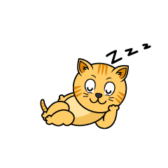Sleeping Tabby Cat