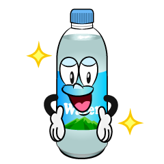 Glitter Water Bottle