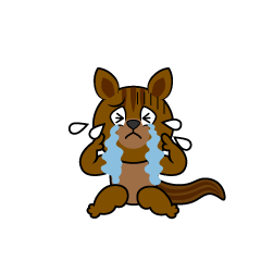 Crying Squirrel