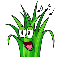 Singing Grass