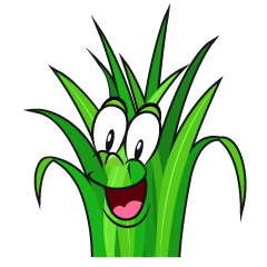 Surprising Grass